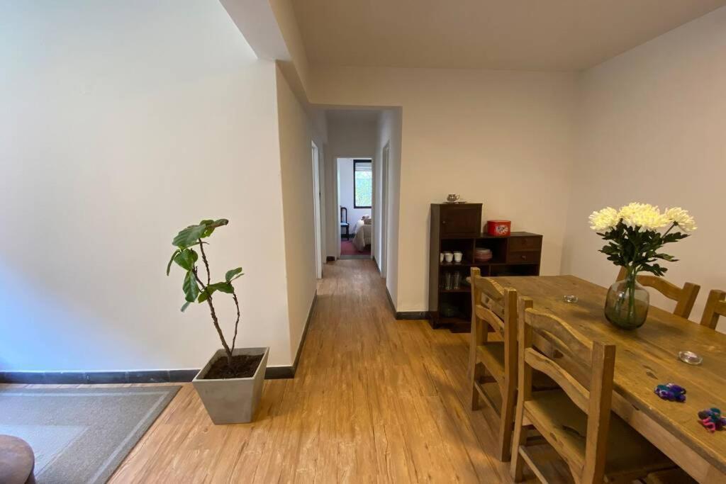 Departamento Centrico A Metros De Plaza Belgrano Apartman San Salvador de Jujuy Kültér fotó
